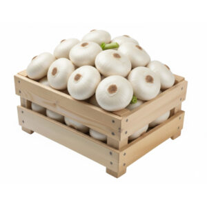 oigon blanc food line
