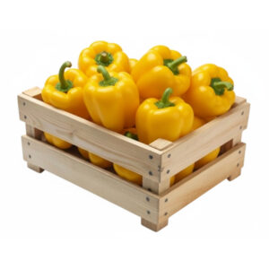 poivron jaune food line