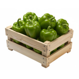 poivron vert food line