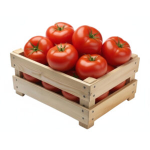 tomate food line