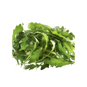 Salade jeunes pousses Roquette Italie barquette de 1 kg