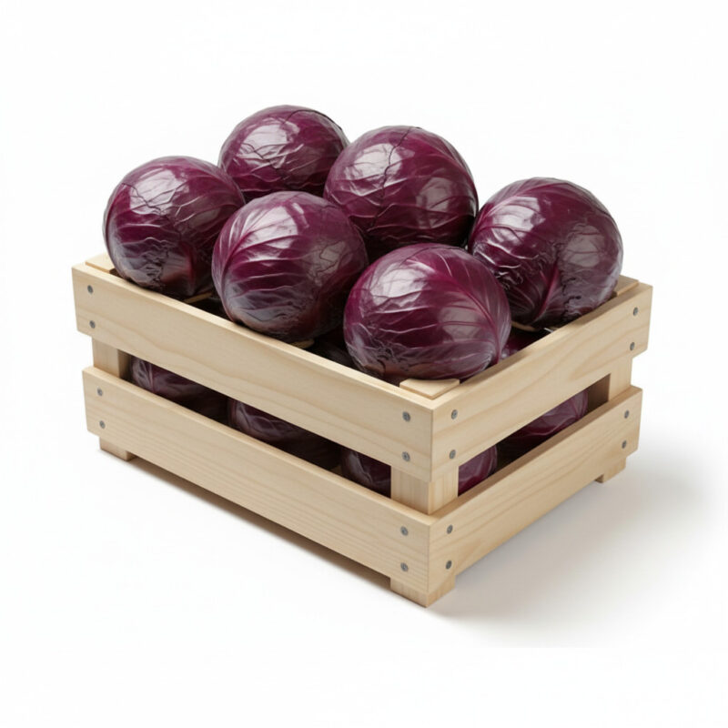 choux rouge food line